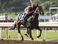 Midnight Bisou Prepares For Saudi Cup