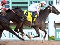 Lady Apple Romps To Victory in Gr.3 Houston Ladies Classic