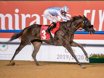 Sayed Hashish: In High, SpiritsTo Compete in The Guineas Image 2