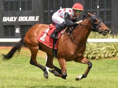 Case Hoping For Untroubled Win For March to the Arch In Tamp ... Image 1