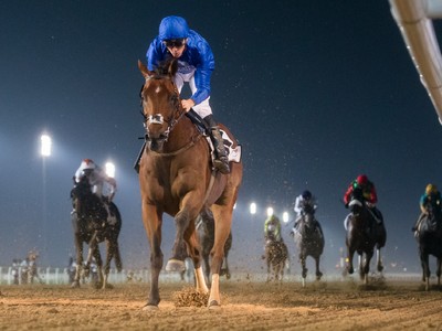 Review: Al Maktoum Challenge R2 ( Horses, Racecard, Video 20 ... Image 1