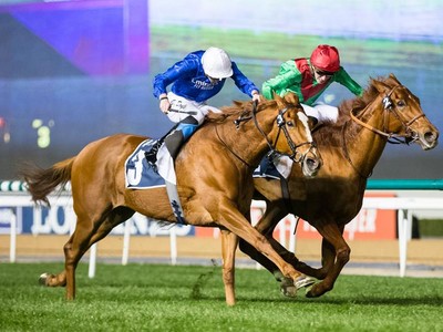 Review: Gr.3 Firebreak Stakes &amp; Gr.2 Balanchine ( Horses, Ra ... Image 2