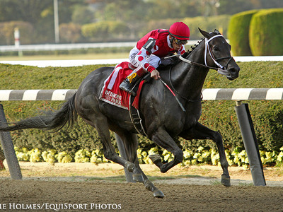 American Raiders Midnight Bisou, Sir Winston and Mucho Gusto ... Image 1