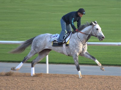 Reddam Racing’s Parsimony Set To Ace Curlin (L) Image 1