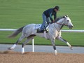 Reddam Racing’s Parsimony Set To Ace Curlin (L)