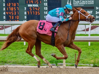 Monomoy Girl Returns to Work Tab With Fair Grounds Spin Image 1