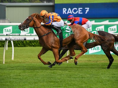 Rip Van Winkle's Te Akau Shark Claims Chipping Norton Stakes Image 1