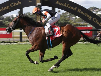 New Zealand Derby Winner for Fastnet Rock Image 1