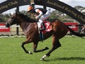 New Zealand Derby Winner for Fastnet Rock