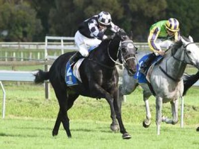 Karaka Graduate Home By Midnight Dominates Launceston Cup Image 1