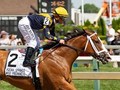 Champion Covfefe Retired From Racing