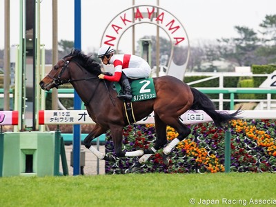 Preview: Gr.1 Takamatsunomiya Kinen (Runners list, Racing Vi ... Image 1