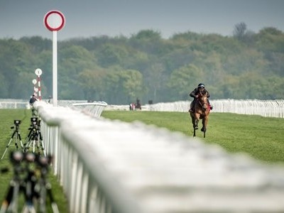 Goffs Doncaster Breeze-Up Sale Moves To Royal Ascot Week In  ... Image 1