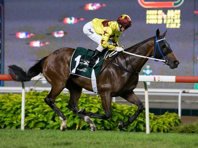 Southern Legend To Remain In HK To Race In Gr.2 Chairman’s T ... Image 1