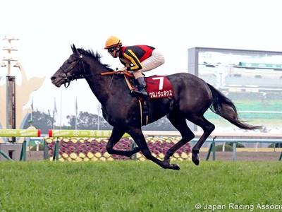 Preview: Gr.1 Osaka Hai (Runner List 2020, Racing Video, Rac ... Image 2