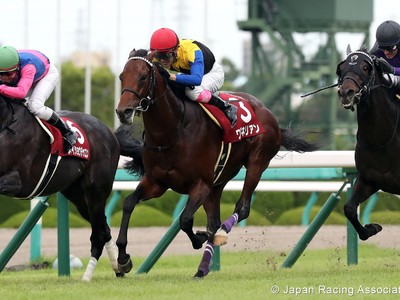 Preview: Gr.1 Osaka Hai (Runner List 2020, Racing Video, Rac ... Image 4