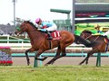 Preview: Gr.1 Osaka Hai (Runner List 2020, Racing Video, Racing Info)