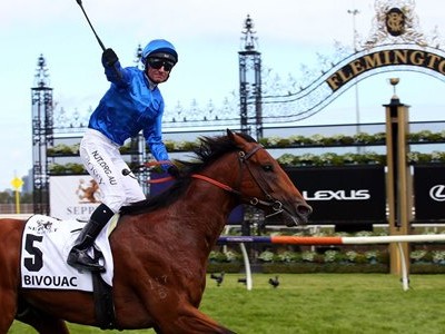 Godolphin owned-Bivouac on target for TJ Smith Stakes Image 1