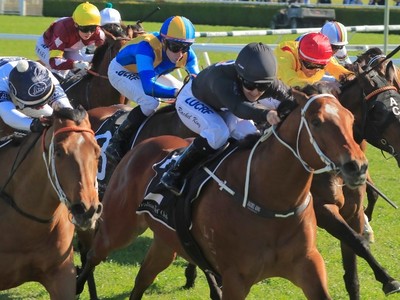 Review: Gr.1 Australian Derby ( Race Video, Race Info, Race  ... Image 2