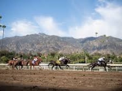 Top Races Cancelled As Santa Anita Track Remains Closed Image 1