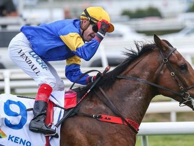 Review: T J Smith Stakes 2020 ( Finishing Racecard, Video 20 ... Image 2