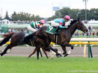 Preview: Gr.1 Oka Sho (Japanese 1,000 Guineas) (Runner List, ... Image 2