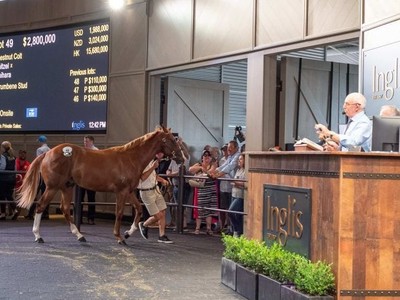 Review: 2020 Easter Yearling Sale (Day 1) (Race Video, Finis ... Image 1