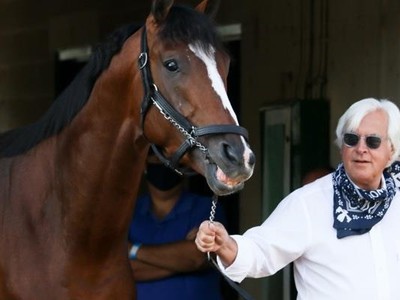 Baffert's Breeders' Cup Stars Image 1