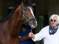 Baffert's Breeders' Cup Stars