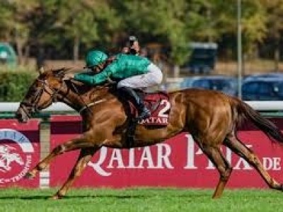 Preview: Breeders' Cup Turf 2020 ( Horses, Racecard, 2019 Vi ... Image 2