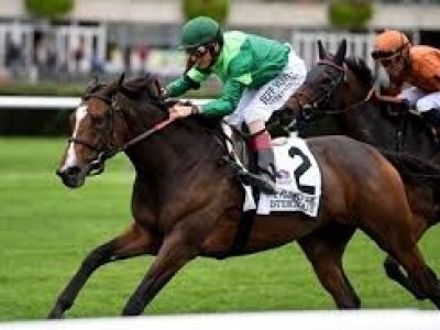 Preview: Breeders' Cup Filly and Mare Turf 2020 ( Horses, Ra ... Image 2