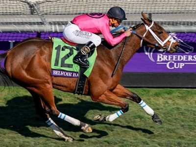 Preview: Breeders' Cup Turf Sprint 2020 (Horses, Race Info,  ... Image 1